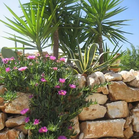 בית כפרי Masseria Due Torri